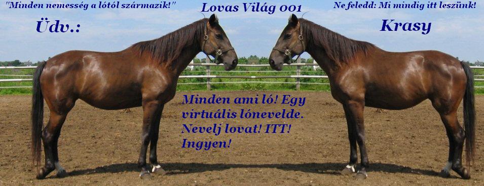 Lovas Vilg 001! Nevelj itt lovat!